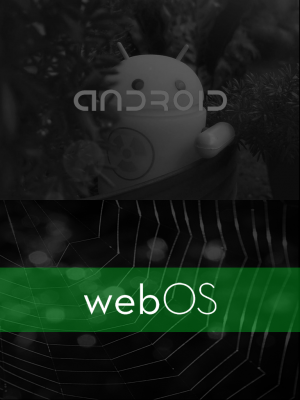 Bikr2-WebOS.png