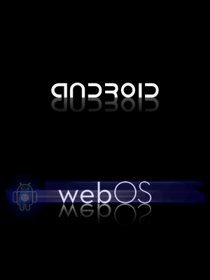 Bikr1-WebOS.png